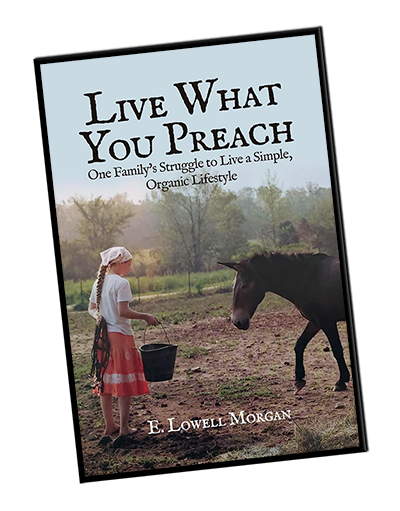 Lowell Morgan book cover 400x511